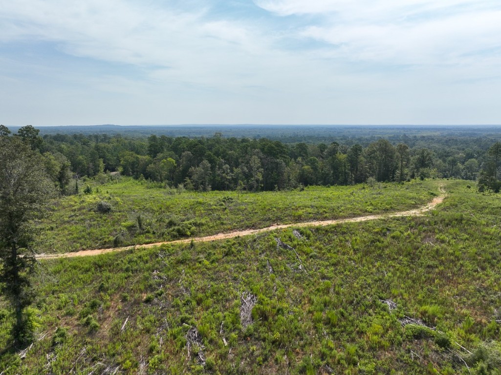 1 County Road 3725 Colmesneil TX 75938