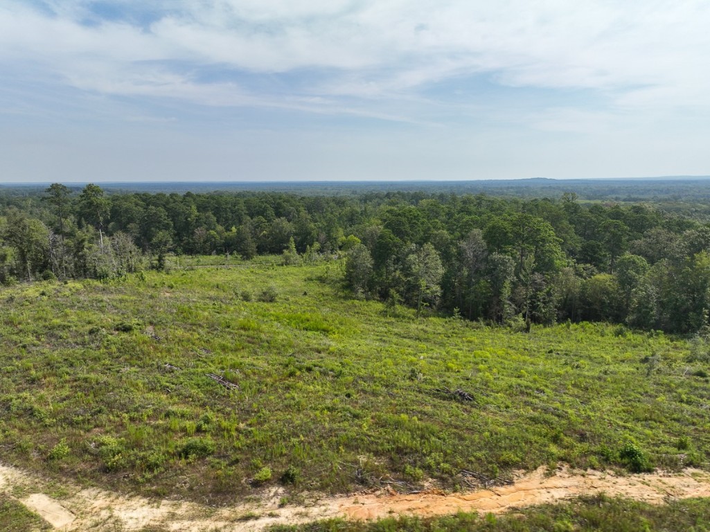 1 County Road 3725 Colmesneil TX 75938
