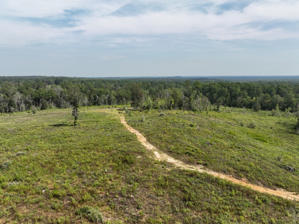 1 County Road 3725 Colmesneil TX 75938