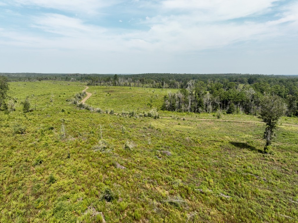 1 County Road 3725 Colmesneil TX 75938