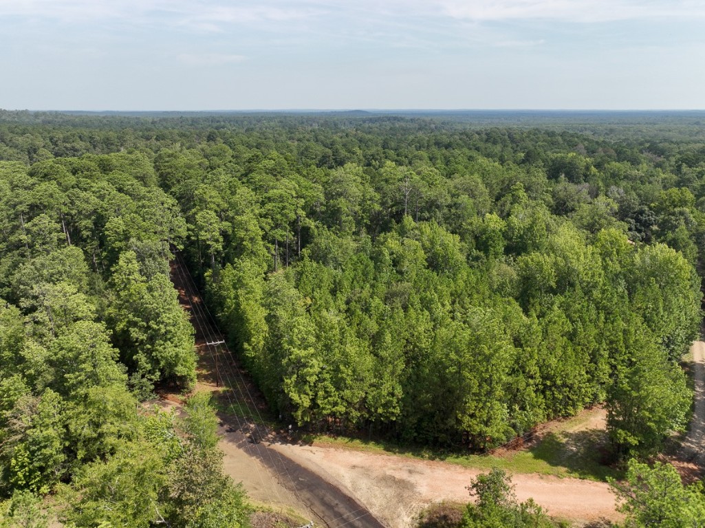1 County Road 3725 Colmesneil TX 75938