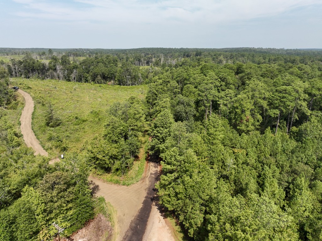 1 County Road 3725 Colmesneil TX 75938