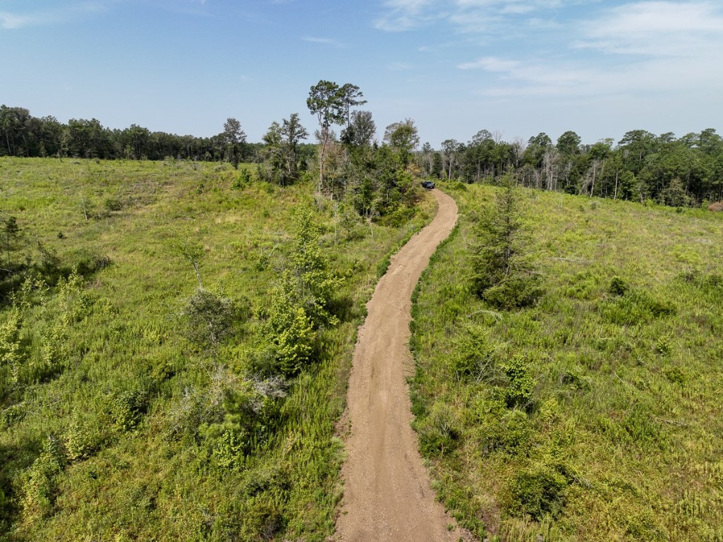 1 County Road 3725 Colmesneil TX 75938