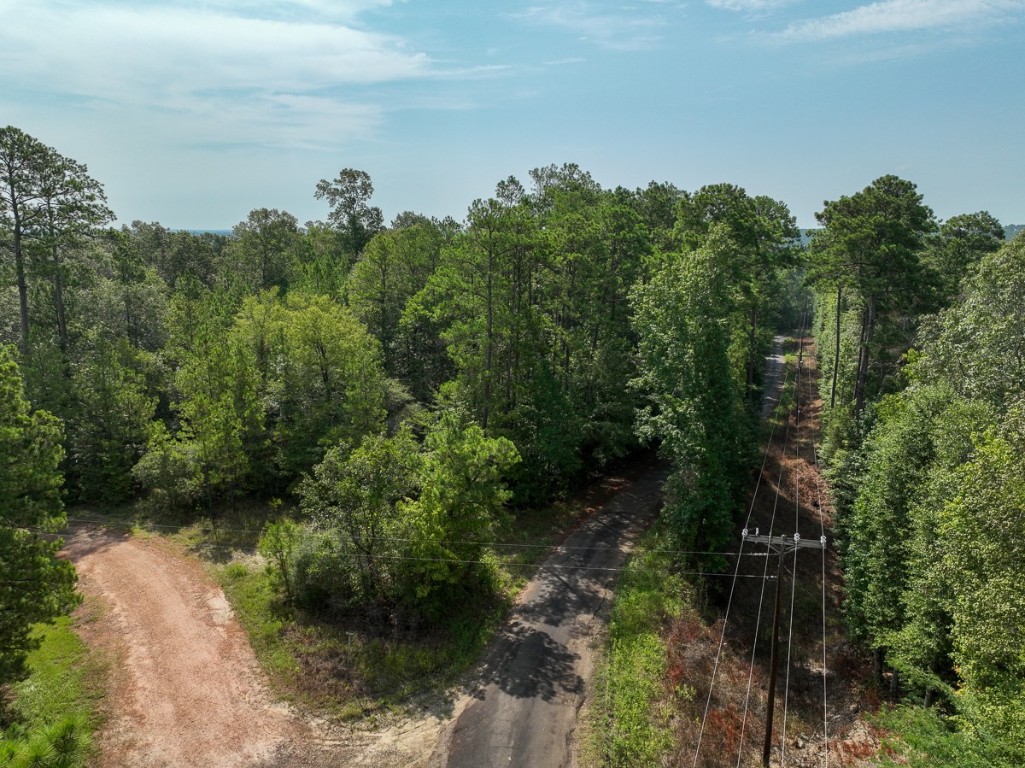 1 County Road 3725 Colmesneil TX 75938