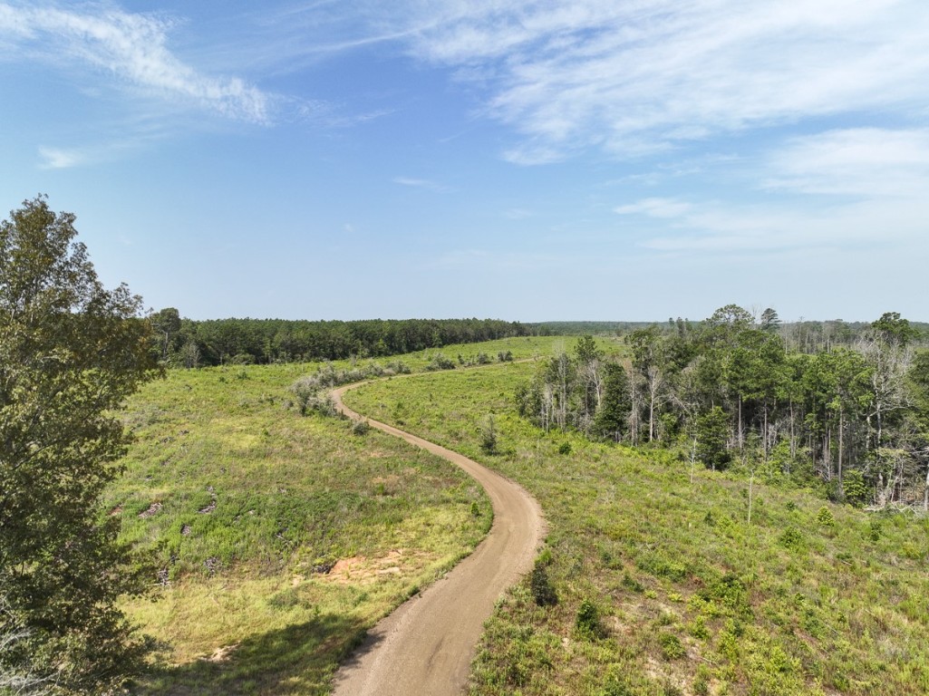 1 County Road 3725 Colmesneil TX 75938
