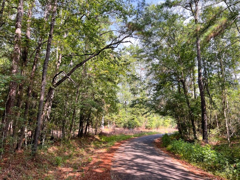1 County Road 3725 Colmesneil TX 75938