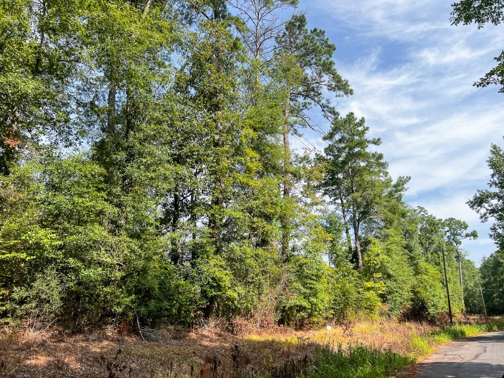 1 County Road 3725 Colmesneil TX 75938