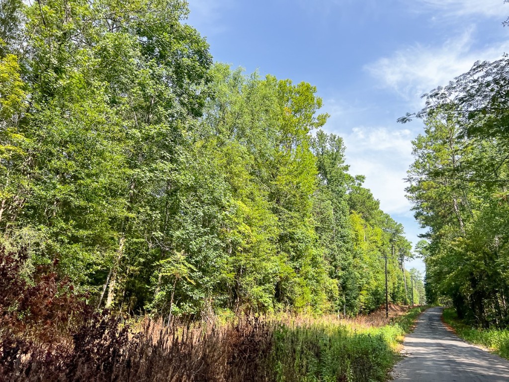 1 County Road 3725 Colmesneil TX 75938