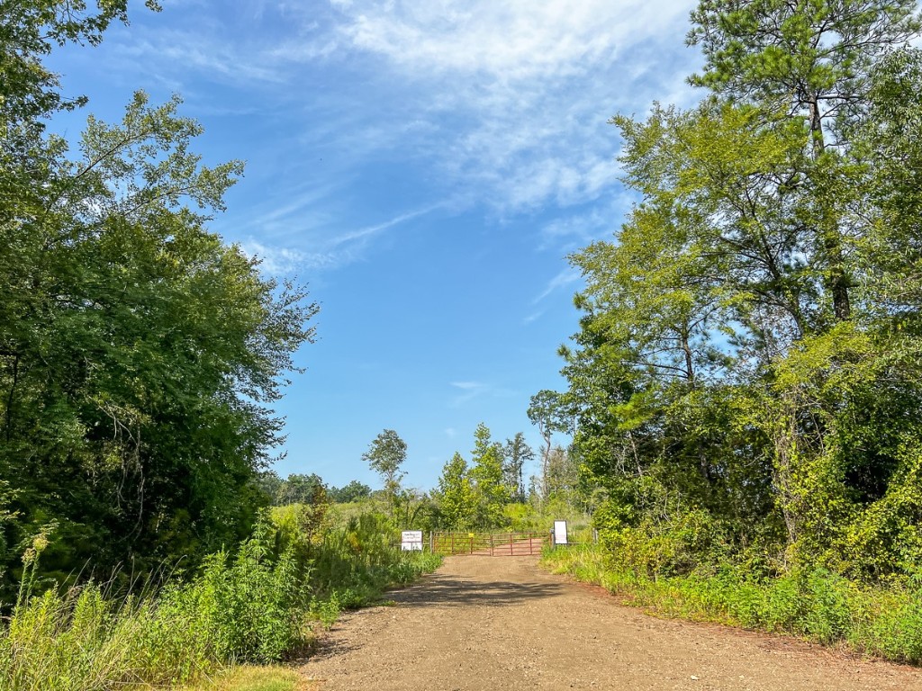 1 County Road 3725 Colmesneil TX 75938