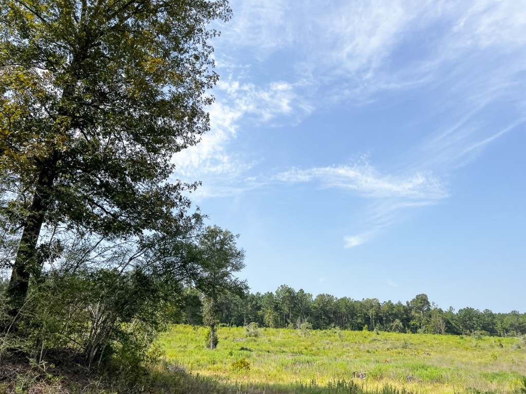 1 County Road 3725 Colmesneil TX 75938
