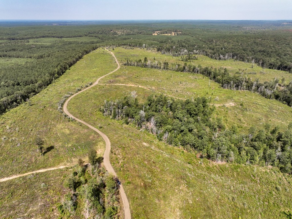 1 County Road 3725 Colmesneil TX 75938