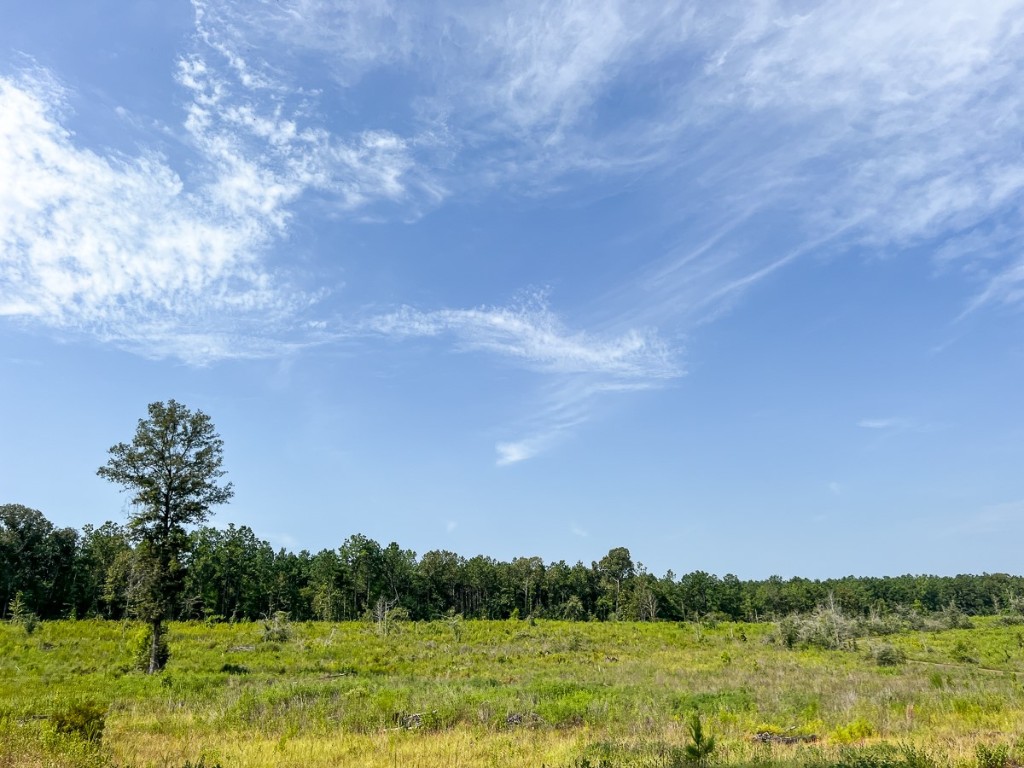 1 County Road 3725 Colmesneil TX 75938