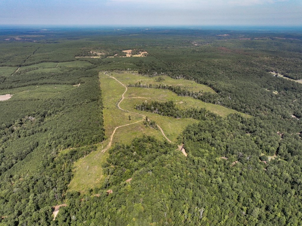 1 County Road 3725 Colmesneil TX 75938