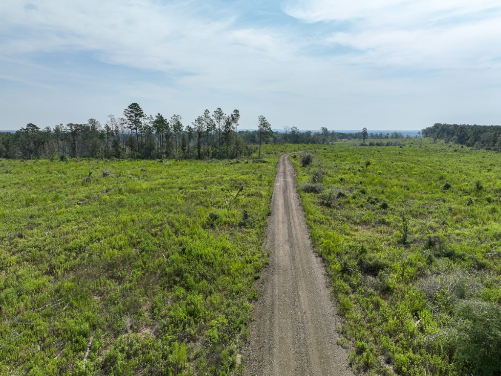 1 County Road 3725 Colmesneil TX 75938