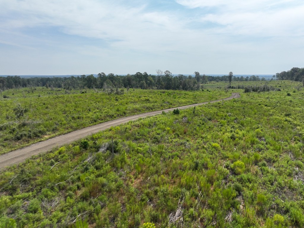 1 County Road 3725 Colmesneil TX 75938