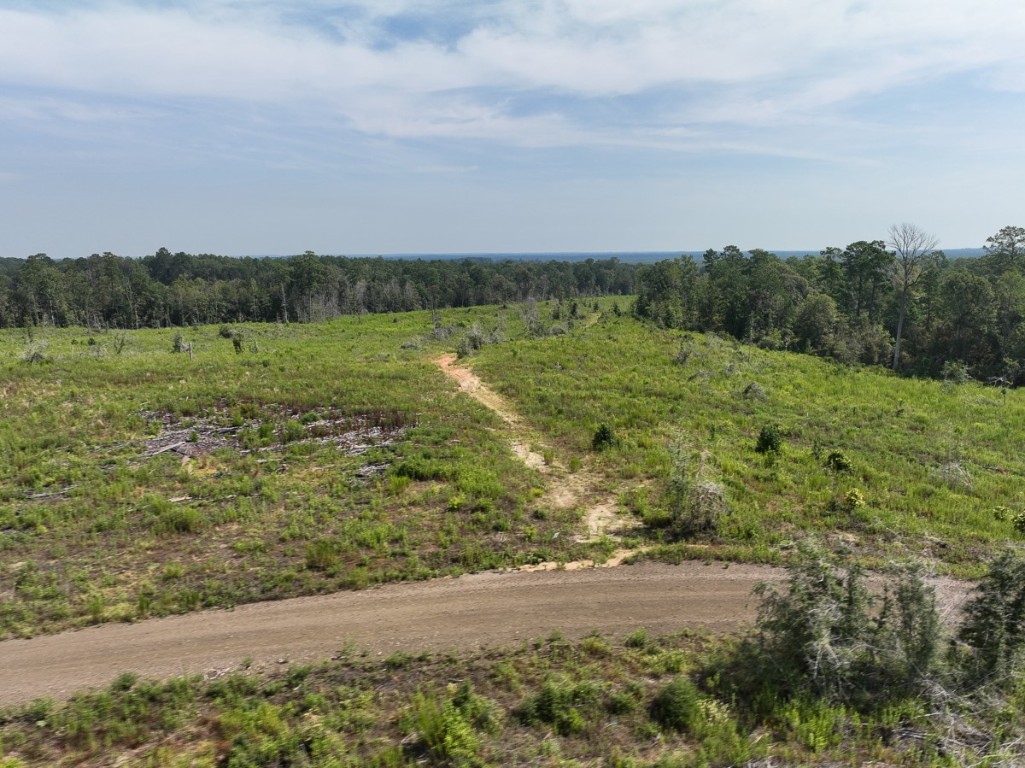 1 County Road 3725 Colmesneil TX 75938