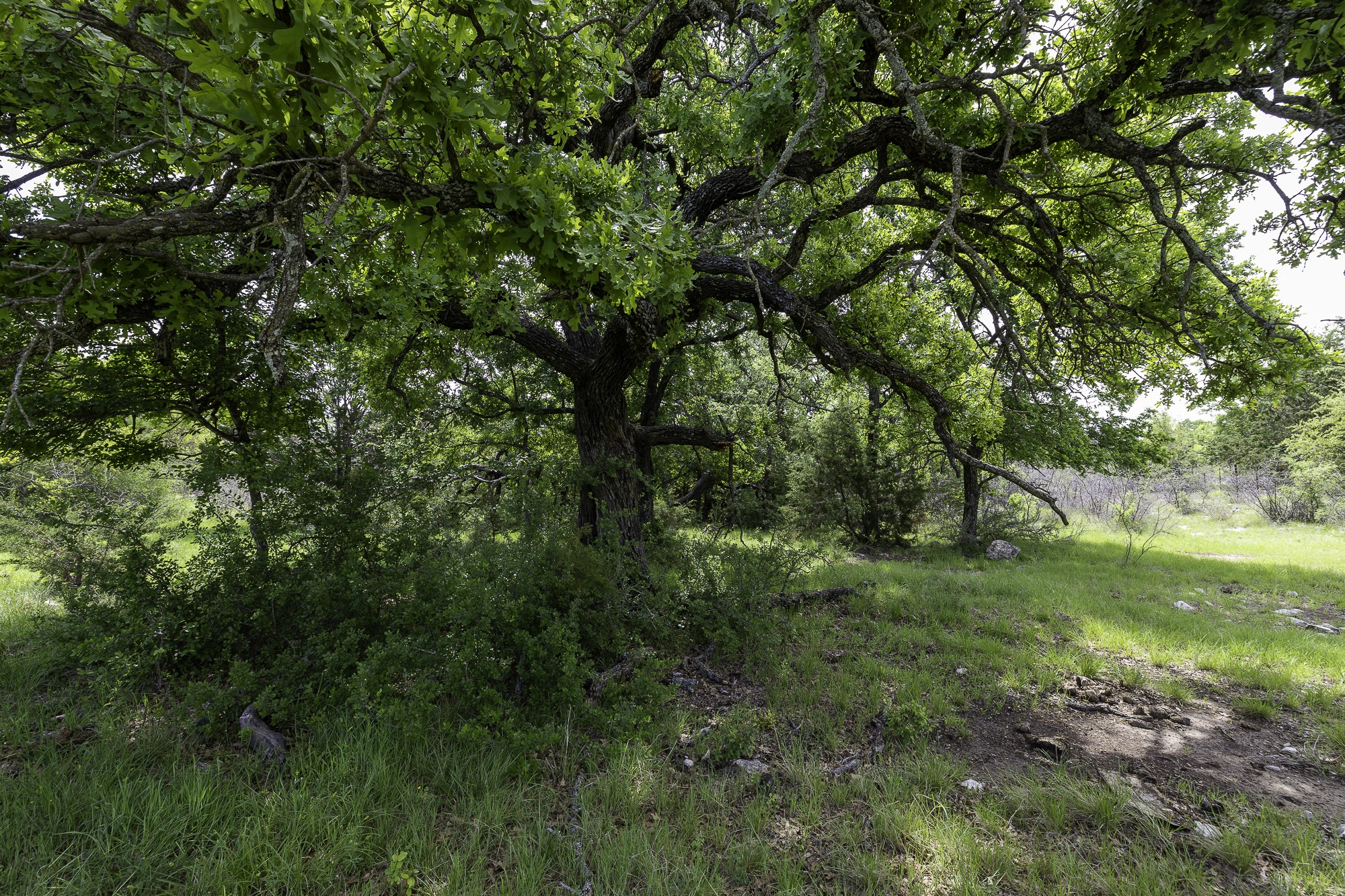 525 Jack Rabbit Circle Zephyr TX 76890