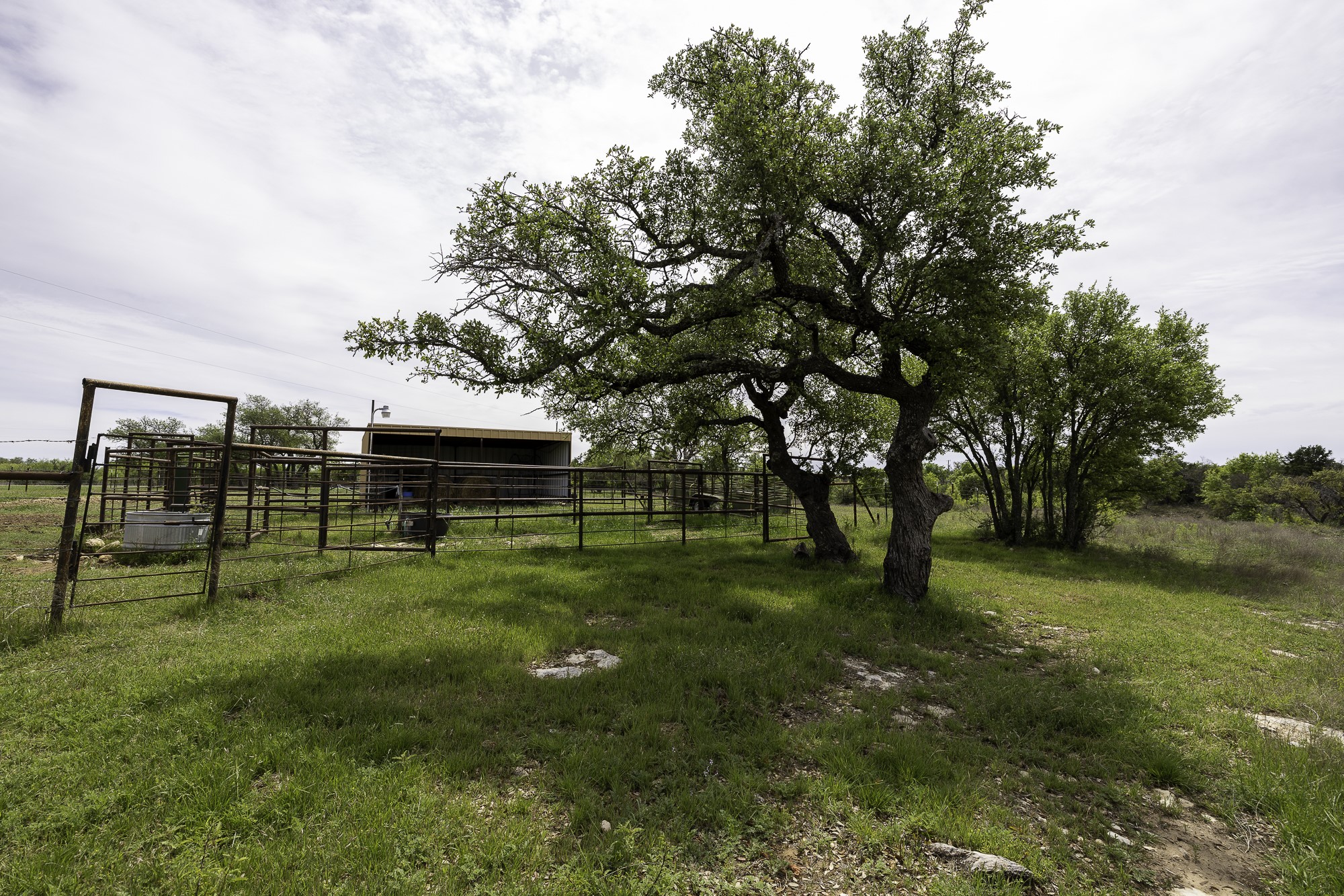 525 Jack Rabbit Circle Zephyr TX 76890