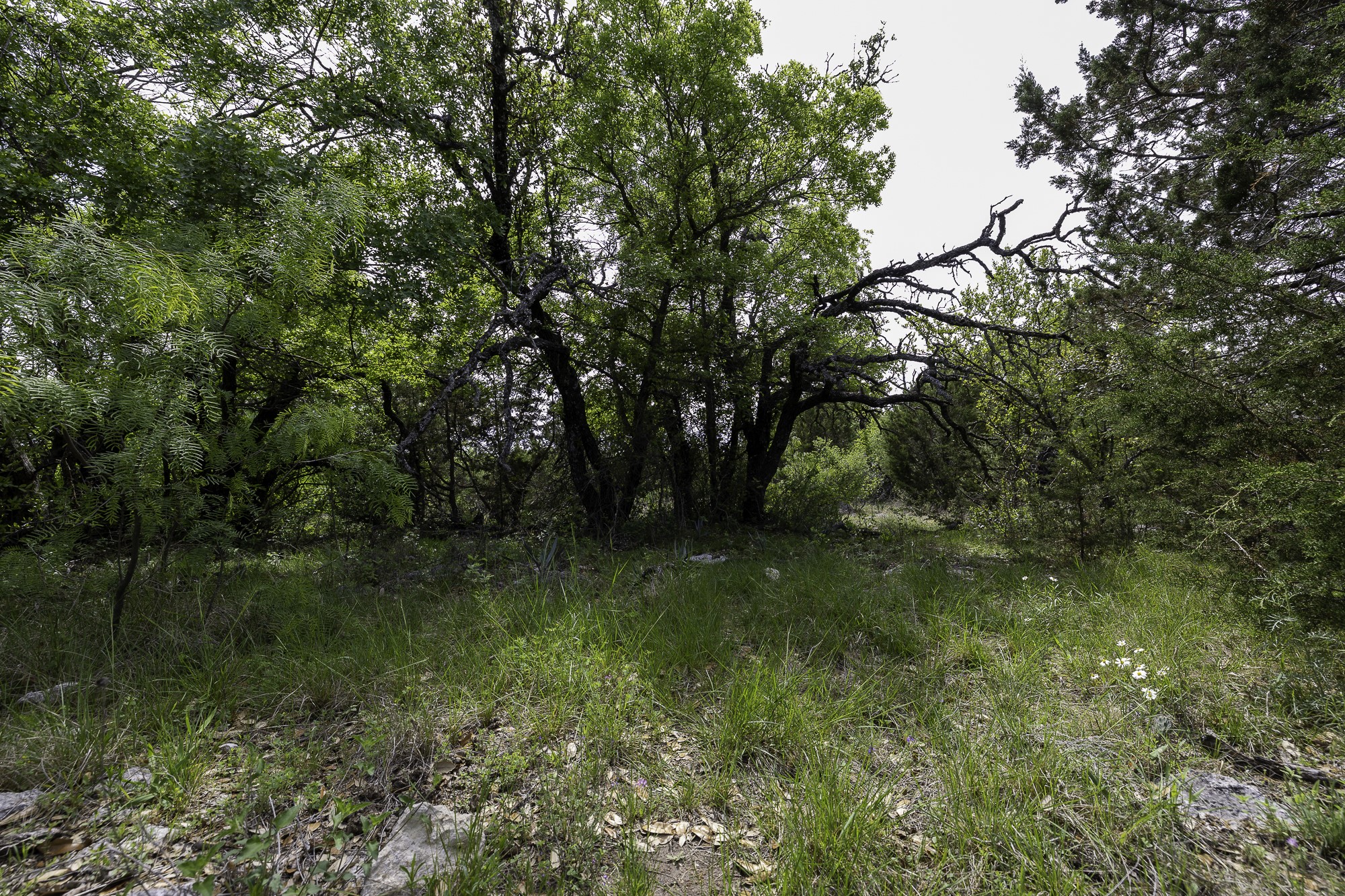525 Jack Rabbit Circle Zephyr TX 76890