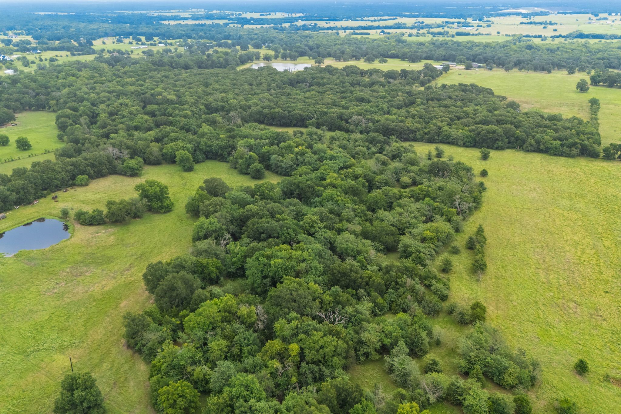 41 A Cr-4209 Campbell TX 75422