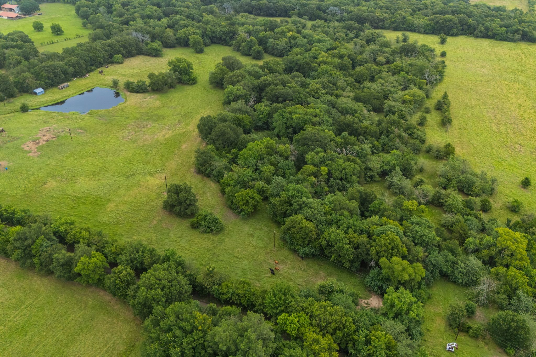 41 A Cr-4209 Campbell TX 75422