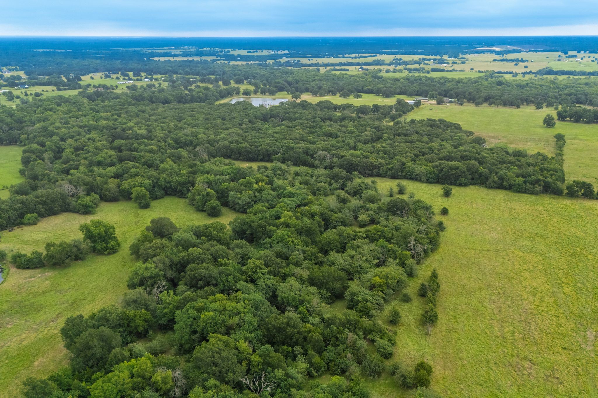 41 A Cr-4209 Campbell TX 75422