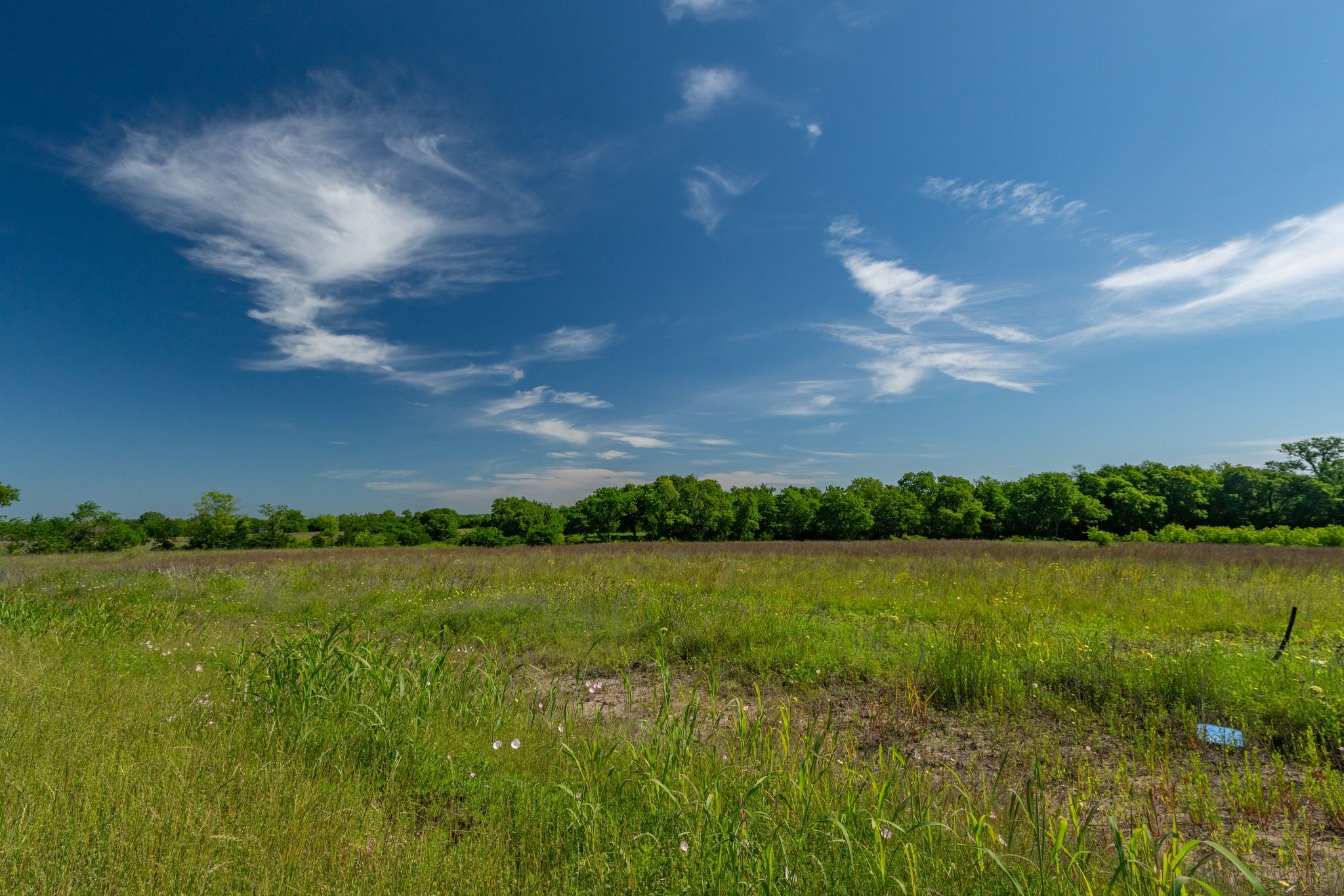 1625 Fm 904 S Pecan Gap TX 75469