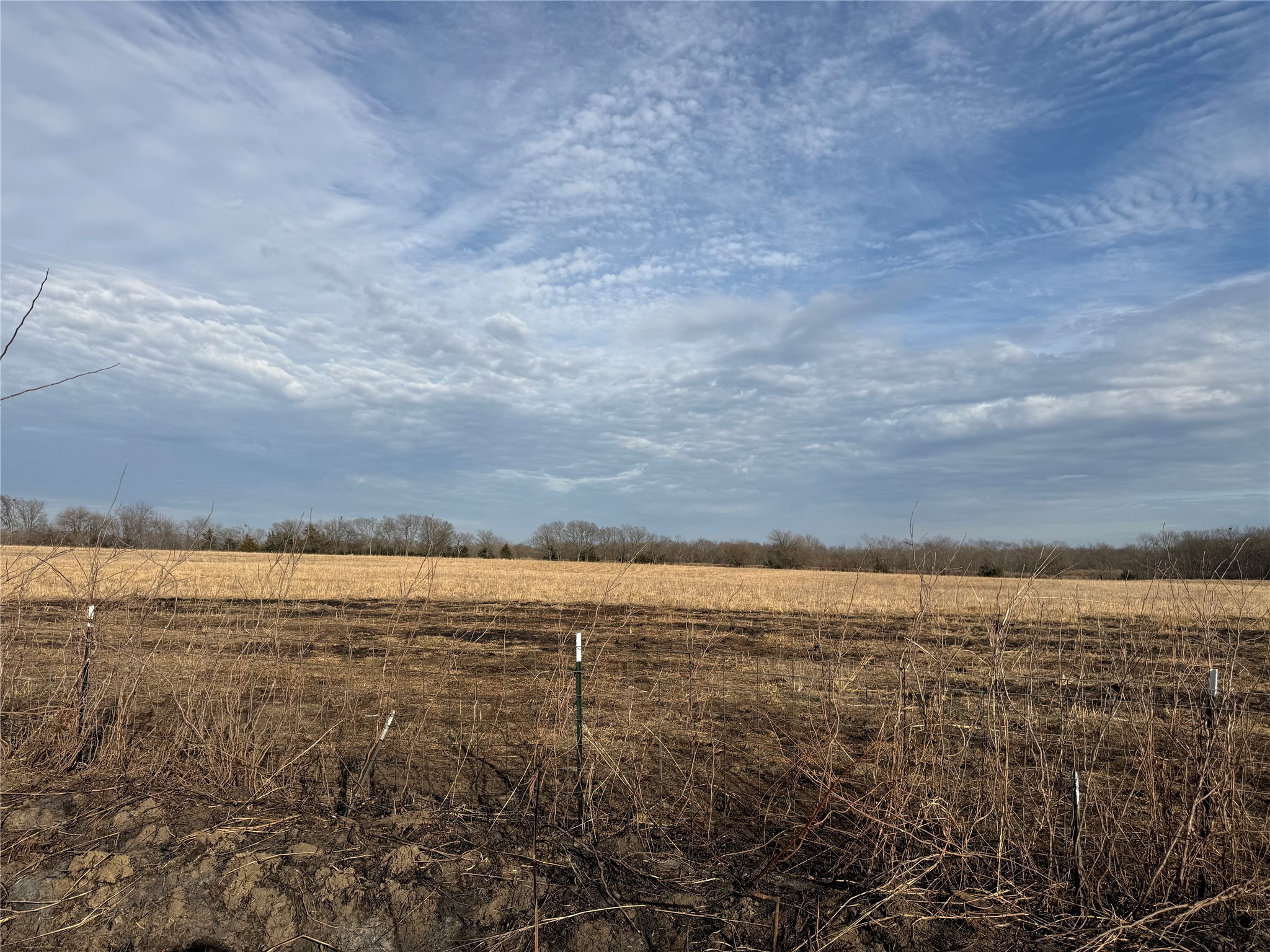 Tbd County Road 1220 Deport TX 75435