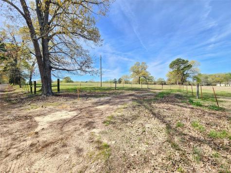 Lot 4 Nandena Road Gilmer TX 75644
