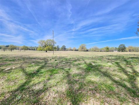 Lot 4 Nandena Road Gilmer TX 75644