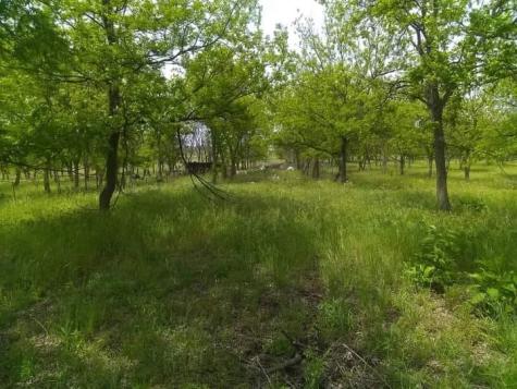 1209 County Road 416 Comanche TX 76442