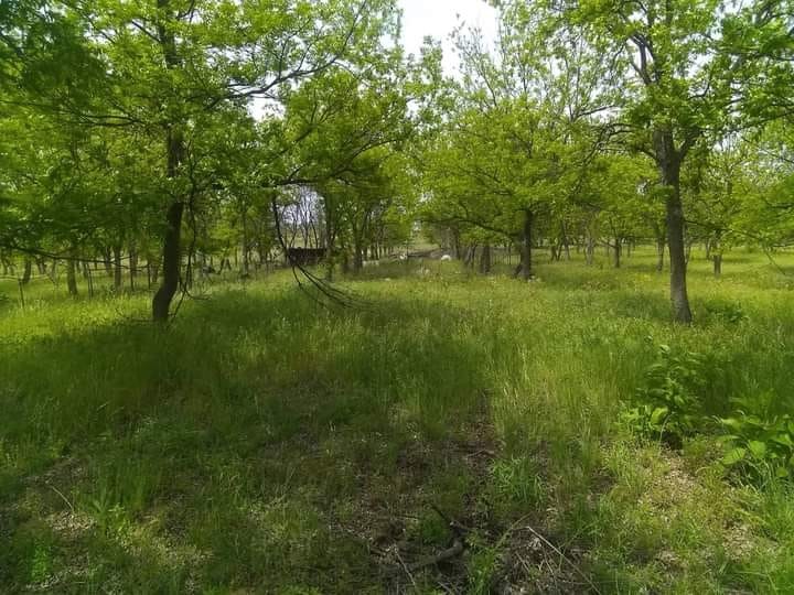 1209 County Road 416 Comanche TX 76442