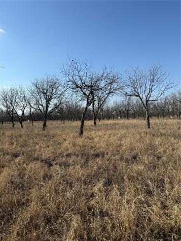 1209 County Road 416 Comanche TX 76442