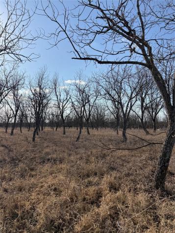 1209 County Road 416 Comanche TX 76442
