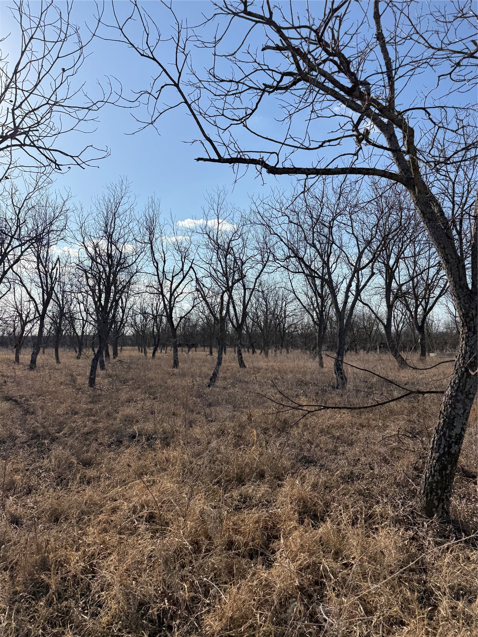1209 County Road 416 Comanche TX 76442