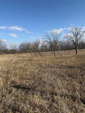 1209 County Road 416 Comanche TX 76442