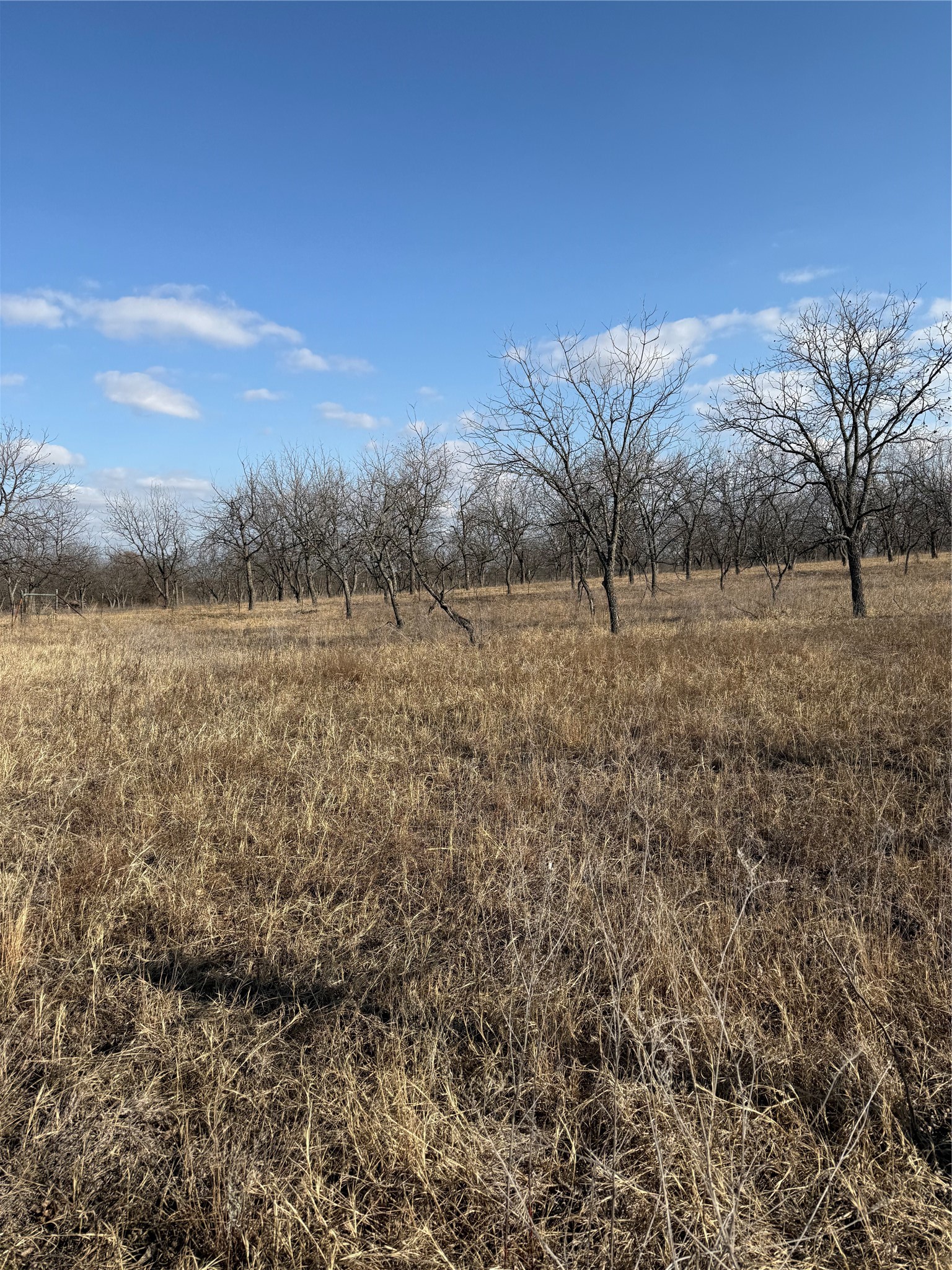 1209 County Road 416 Comanche TX 76442