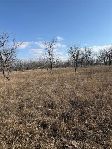 1209 County Road 416 Comanche TX 76442