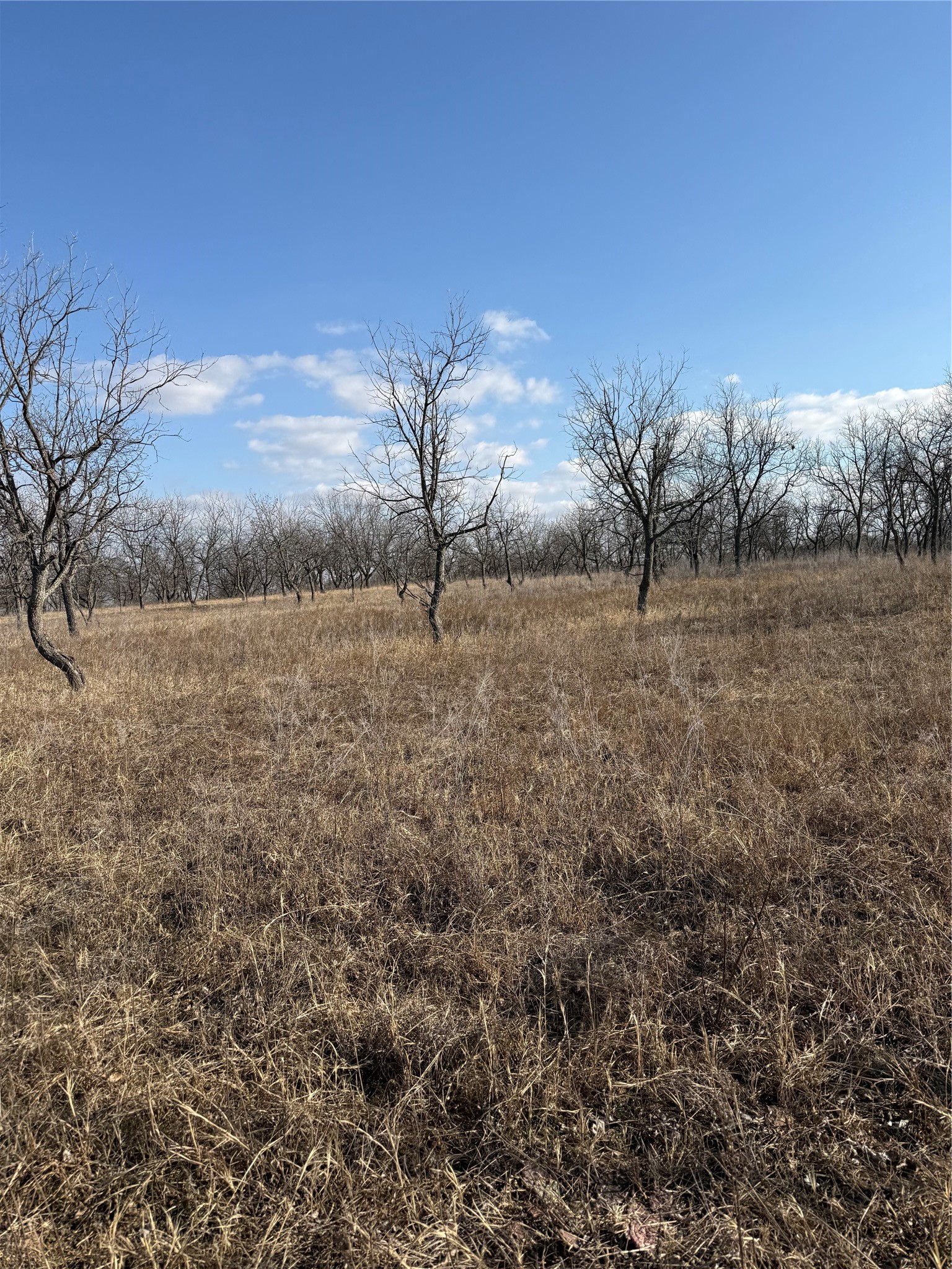 1209 County Road 416 Comanche TX 76442