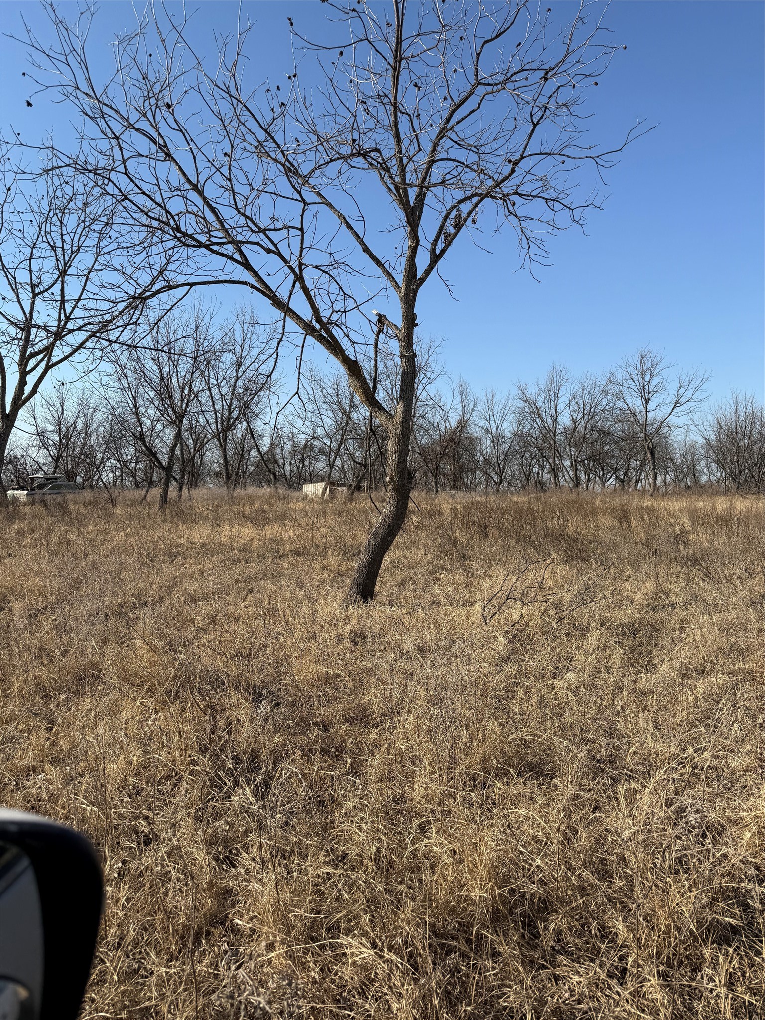 1209 County Road 416 Comanche TX 76442
