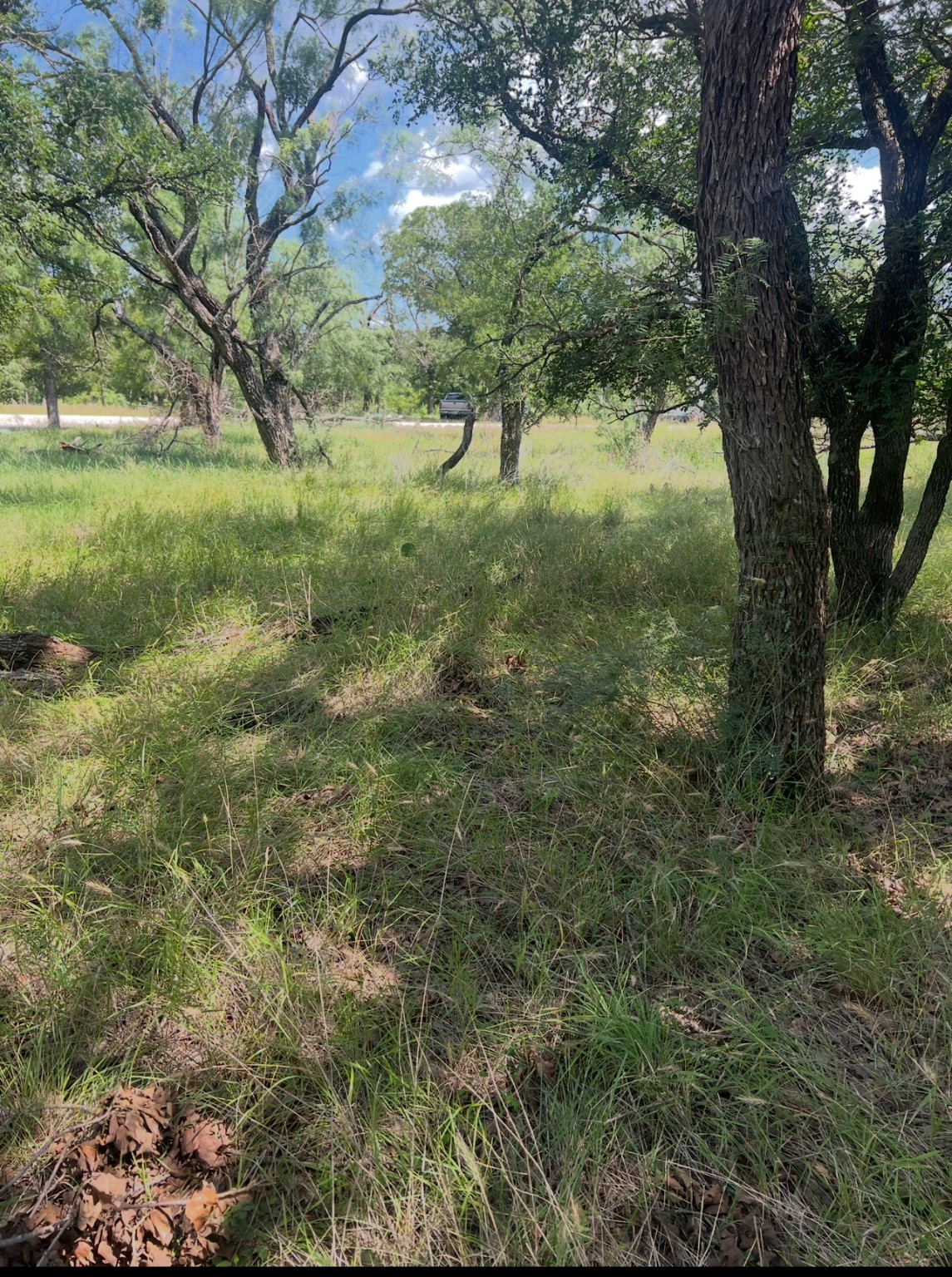 Lot 933 Oak Point Drive May TX 76857