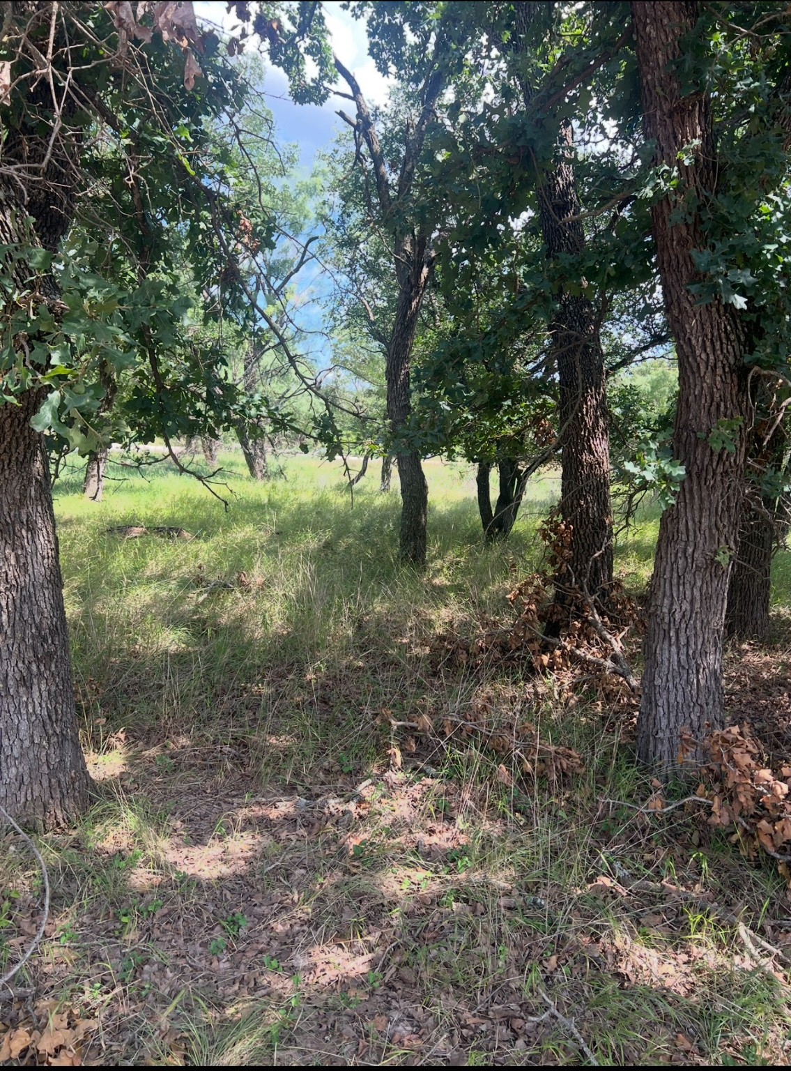 Lot 933 Oak Point Drive May TX 76857