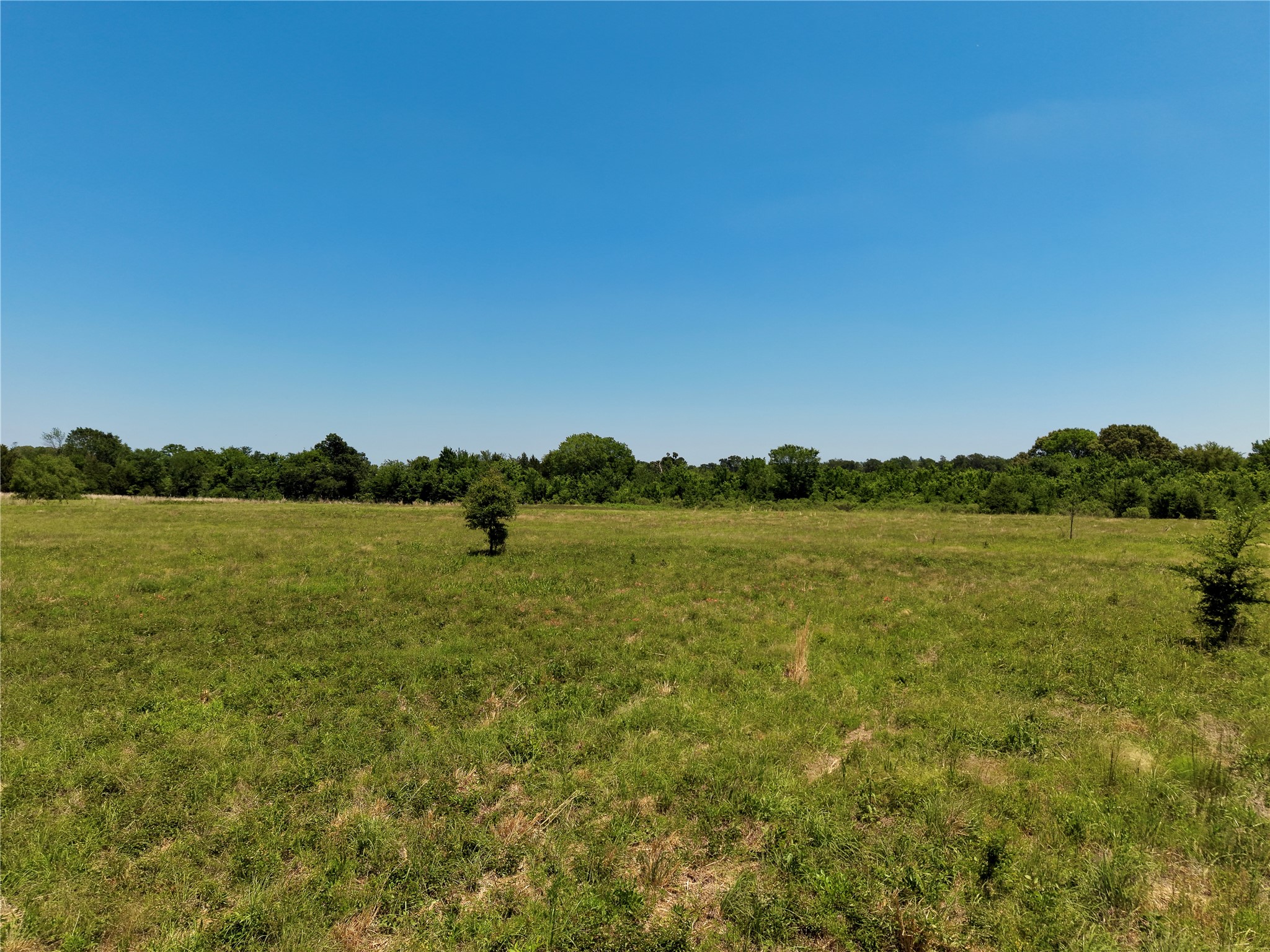 0 County Road 2911 Eustace TX 75124