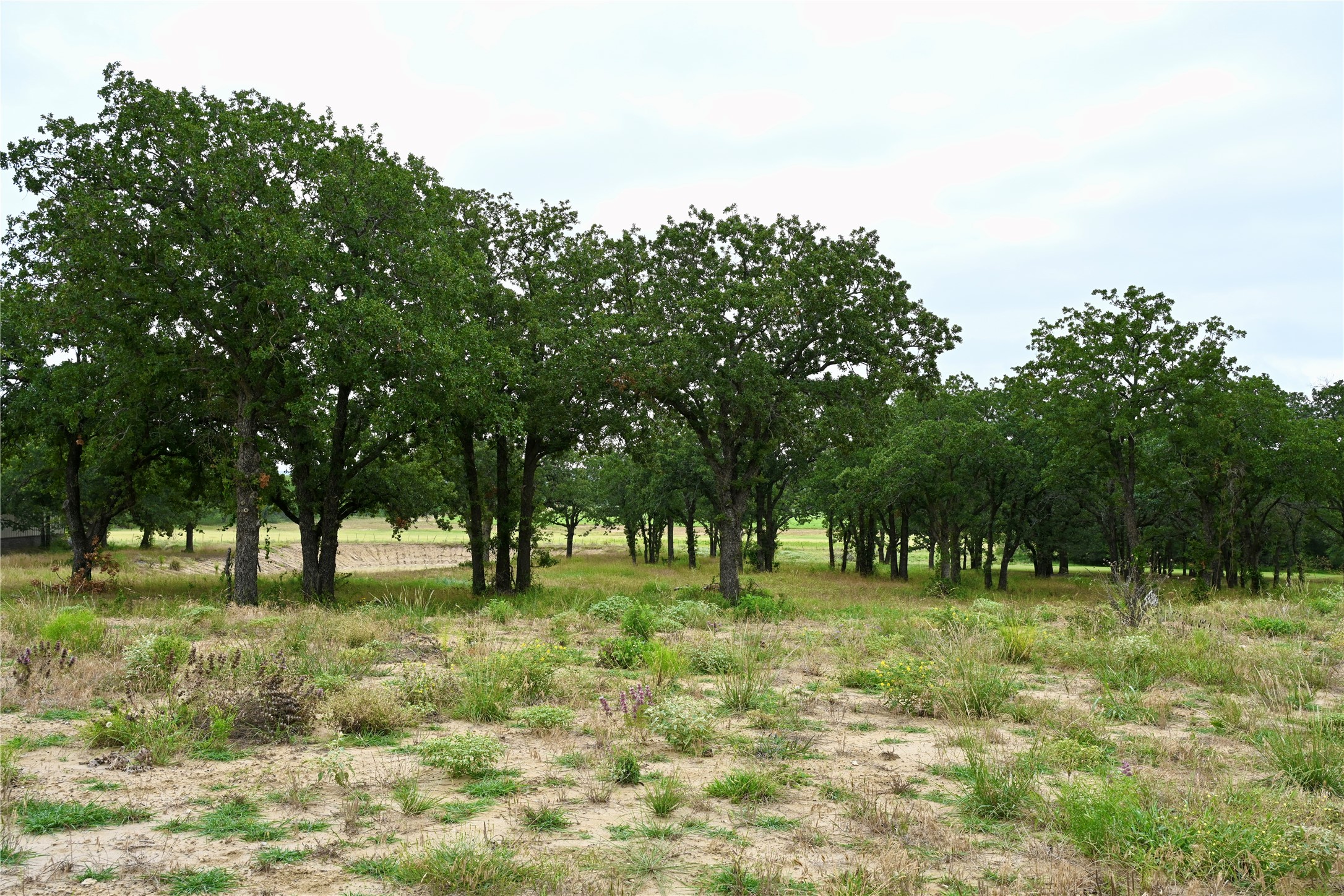 200 Sorrel Lane Weatherford TX 76087