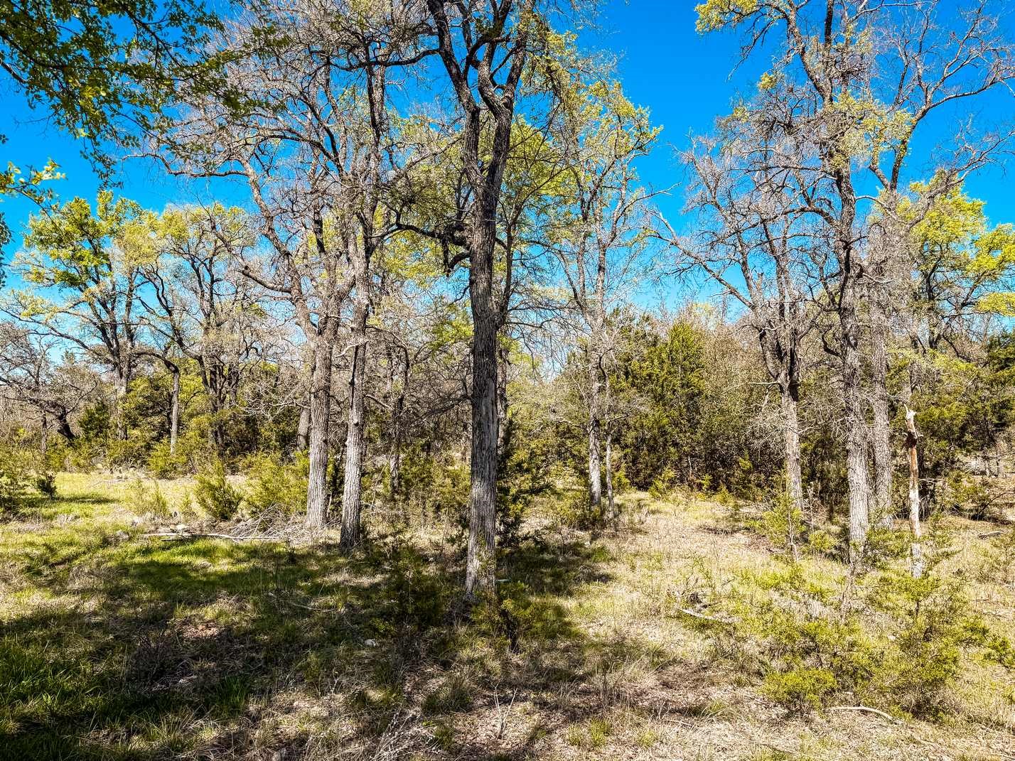 730 Cr 174 Gatesville TX 76528