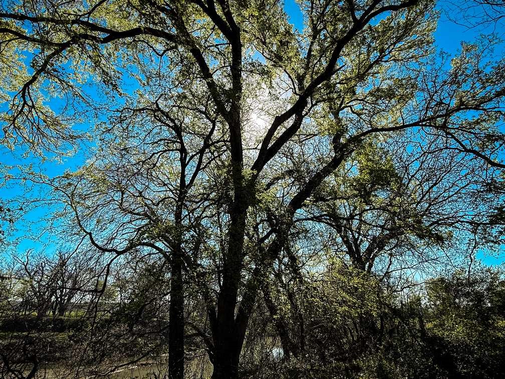 730 Cr 174 Gatesville TX 76528