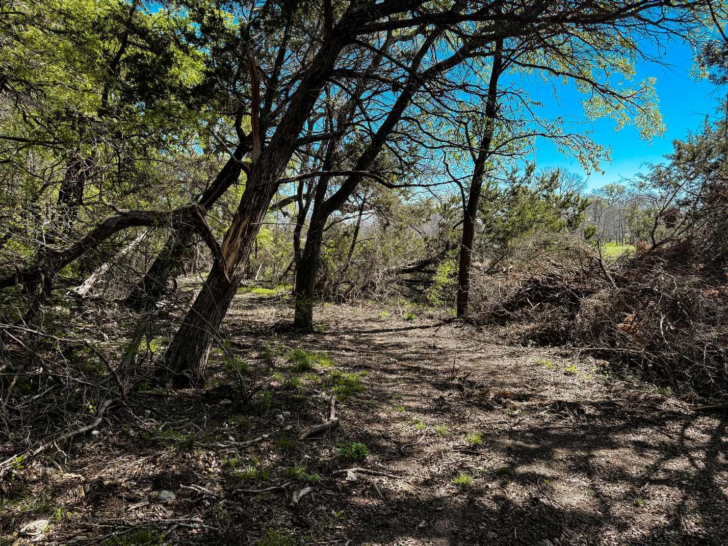 730 Cr 174 Gatesville TX 76528