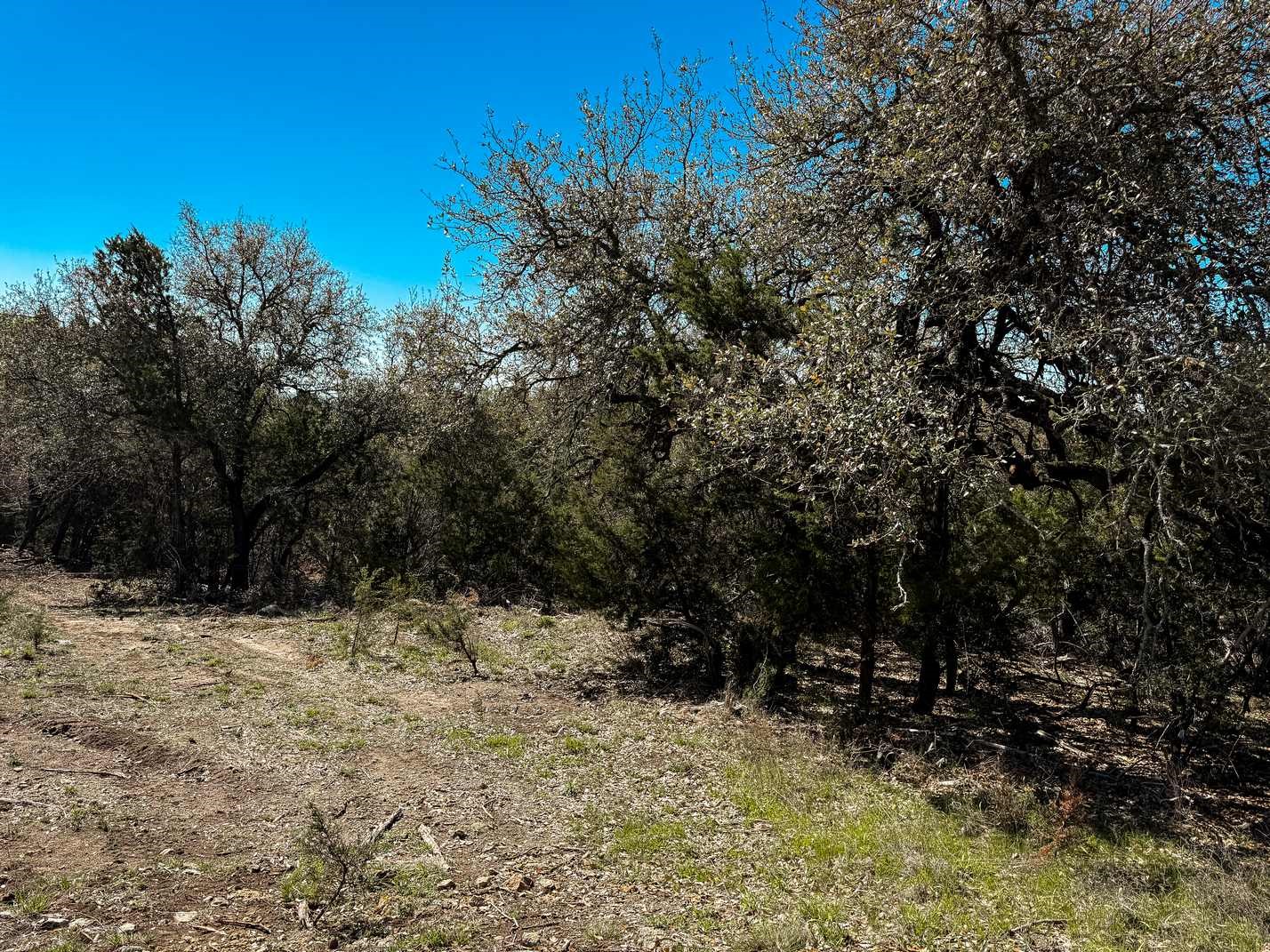 730 Cr 174 Gatesville TX 76528