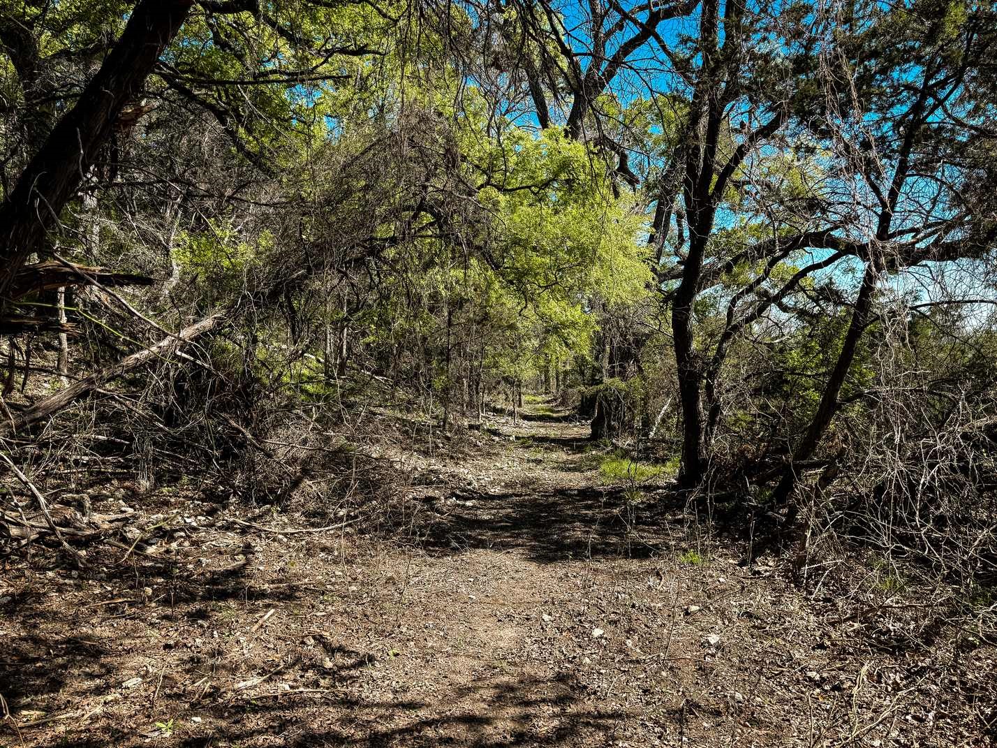 730 Cr 174 Gatesville TX 76528