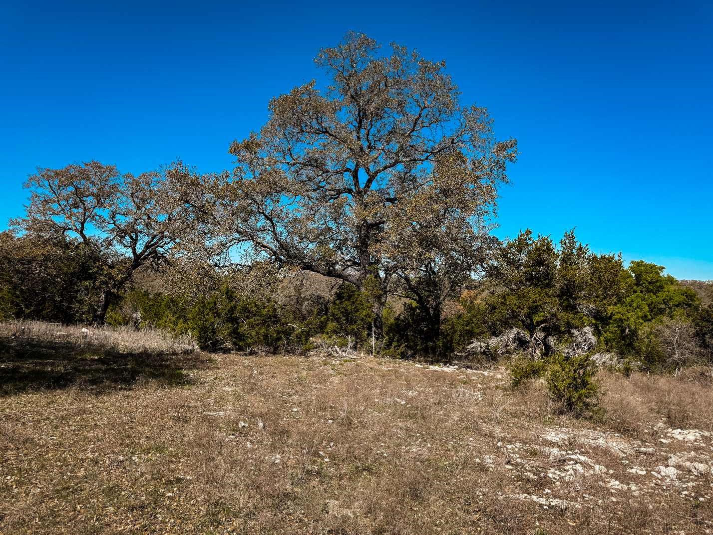 730 Cr 174 Gatesville TX 76528